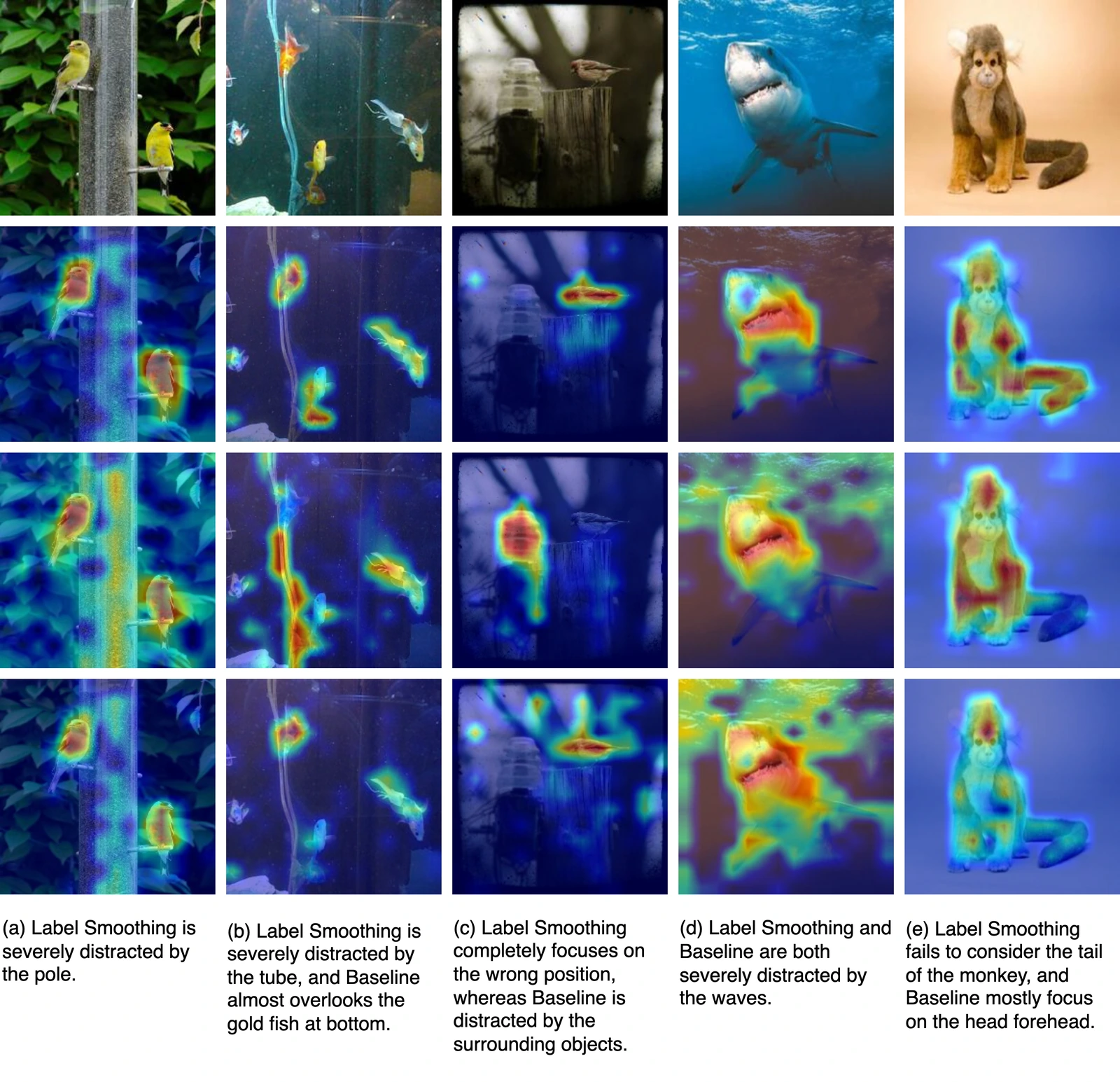 MaxSup qualitative comparison of visual attention maps on ImageNet examples